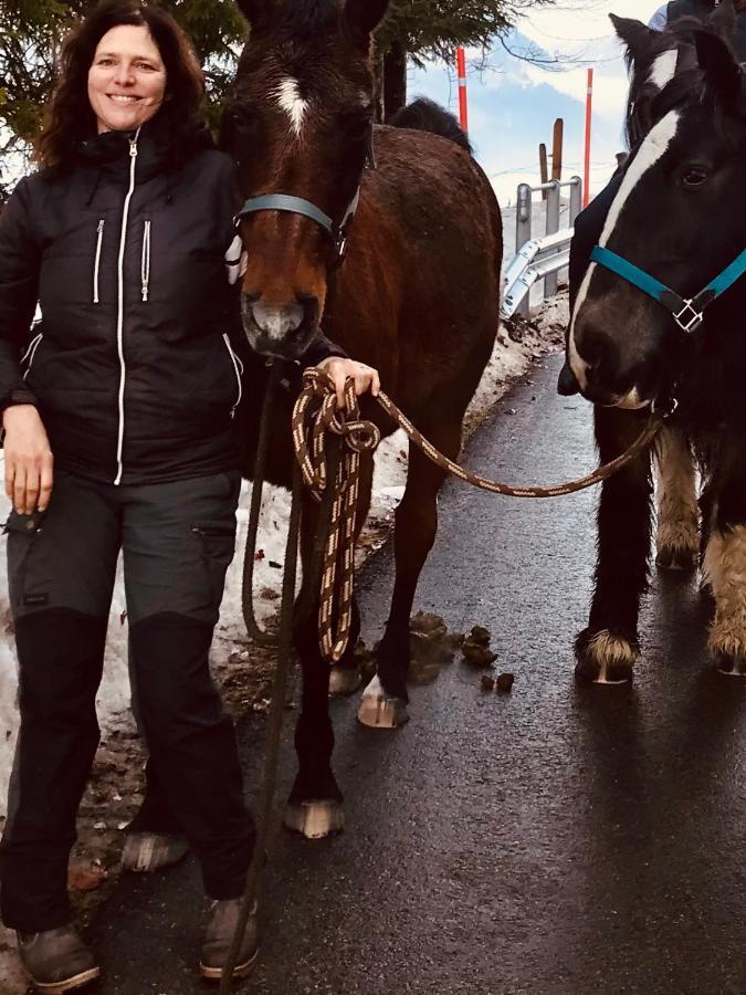 مبيت وإفطار شاتو دو Au Pre Des Chevaux المظهر الخارجي الصورة