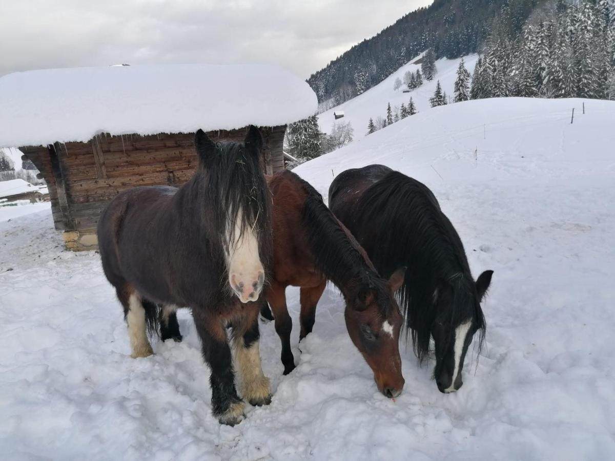 مبيت وإفطار شاتو دو Au Pre Des Chevaux المظهر الخارجي الصورة