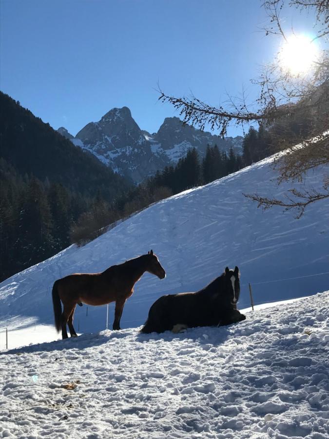 مبيت وإفطار شاتو دو Au Pre Des Chevaux المظهر الخارجي الصورة